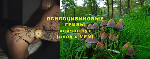 mix Вяземский