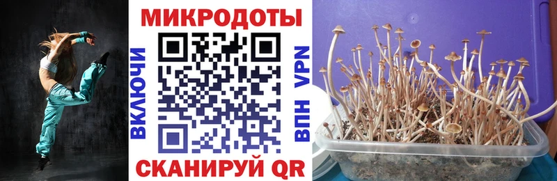 где купить наркотик  Королёв  Псилоцибиновые грибы Magic Shrooms 